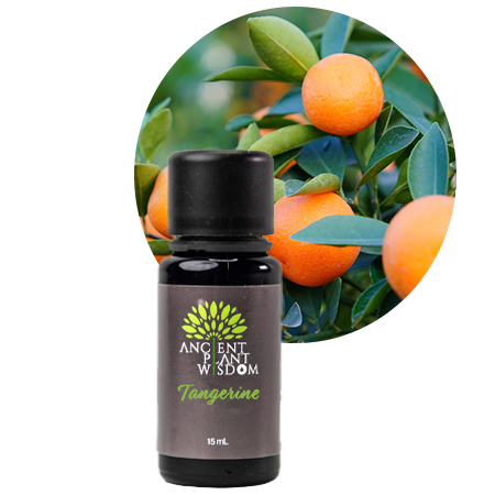 APW® Tangerine (Mandarin Red Zest) Essential Oil - Organic - Citrus Reticulata