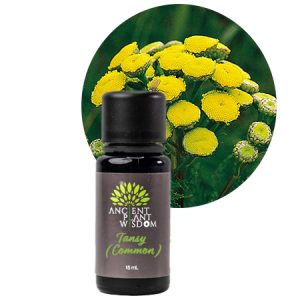 APW® Tansy (Common) Essential Oil - Organic - Tanacetum Vulgare