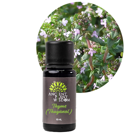 APW® Thyme (Thuyanol) Essential Oil - Organic - Thymus Vulgaris
