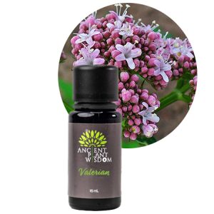 APW® Valerian Essential Oil - Organic - Valeriana Officinalis