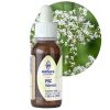 PSC® VALERIAN (Valeriana officinalis)