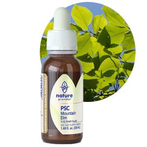 PSC MOUNTAIN ELM (Ulmus campestris)