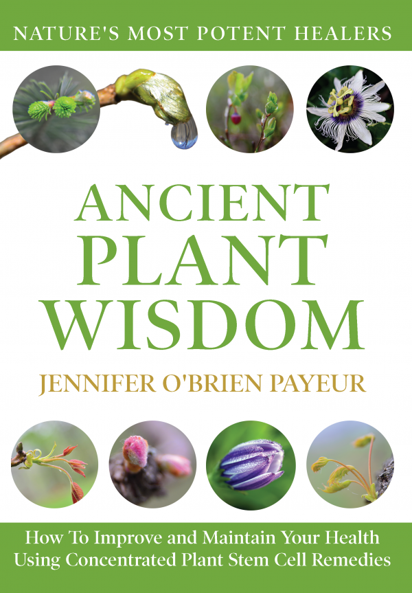 Book: Ancient Plant Wisdom - Jennifer Payeur's new book!