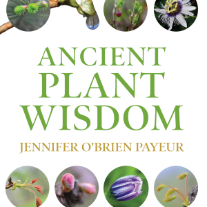 Book: Ancient Plant Wisdom - Jennifer Payeur's new book!