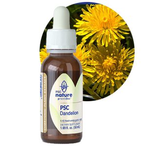 PSC DANDELION (Taraxacum officinale)