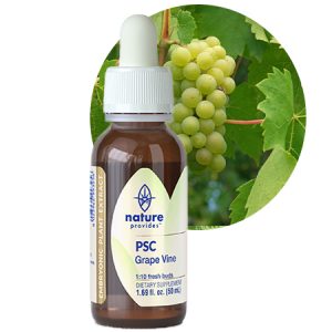 PSC GRAPE VINE (Vitis vinifera)