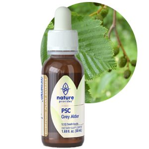 PSC GREY ALDER (Alnus incana)