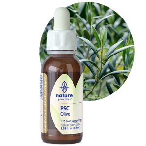 PSC OLIVE (Olea europaea)