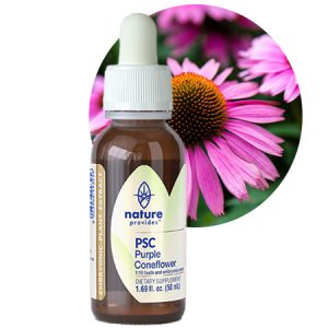 PSC® PURPLE CONEFLOWER (Echinacea purpurea)