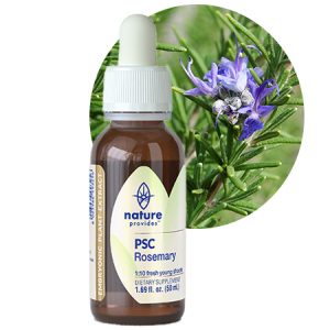 PSC ROSEMARY (Rosmarinus officinalis)