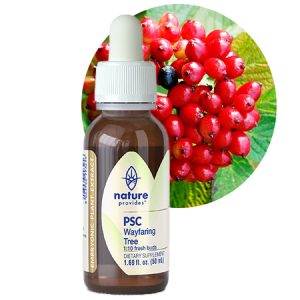 PSC WAYFARING TREE (Viburnum lantana)