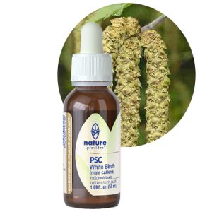PSC WHITE BIRCH FLOWERS (Betula pubescens)