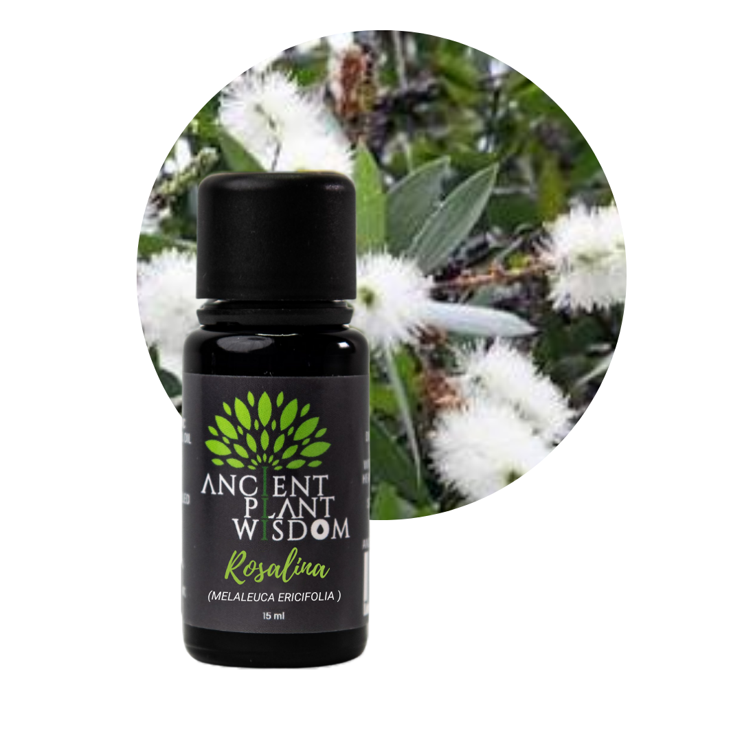 APW® Rosalina Essential Oil - Organic - (Melaleuca ericifolia)
