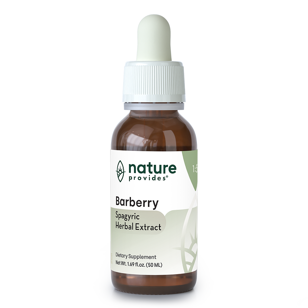 Barberry - Spagyric Herbal Extract - 50 ml