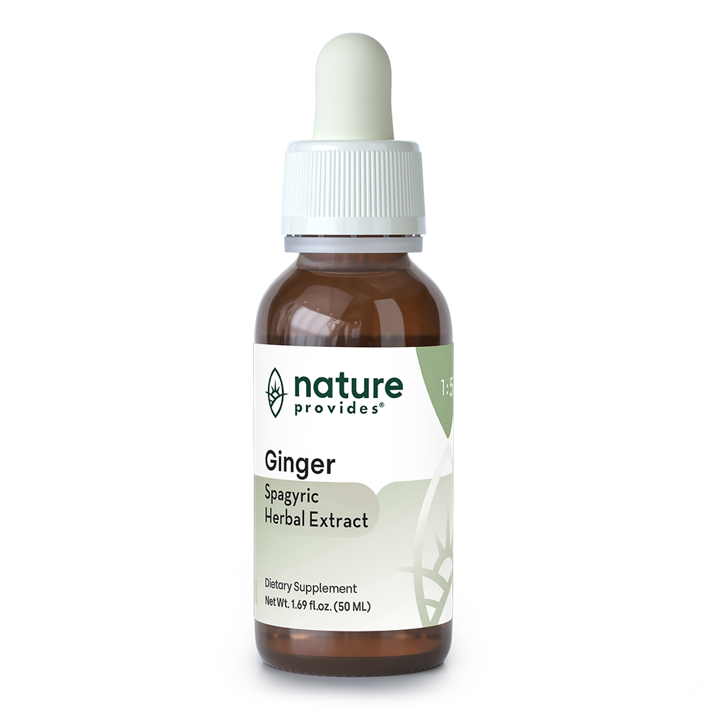 Ginger - Spagyric Herbal Extract - 50 mL
